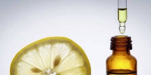 Un Shampoing Anti-Puce fait Maison Naturel pour votre Chien