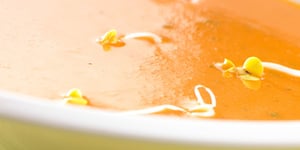 Photo de la Recette: VELOUTÉ DE POIVRON