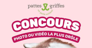 Concours Gagnez une carte-cadeau Pattes et Griffes de 100$! Concours Gagnez une carte-cadeau Pattes et Griffes de 100$!
