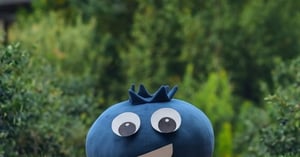 Concours Gagnez un certificat-cadeau d'une valeur de 50$ dans une bleuetière membre de Bleuets d'ici, près de chez vous!