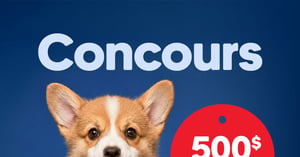 Concours Gagnez une carte-cadeau St-Hubert de 250$ et une carte-cadeau Mondou de 250$! Concours Gagnez une carte-cadeau St-Hubert de 250$ et une carte-cadeau Mondou de 250$!