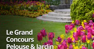 Concours Gagnez 1 an de produits Scotts et Miracle-Gro d'une valeur de 2000$ + des lots mensuels de 150$!