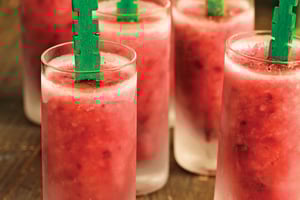 Sucettes Givrées au Mojito de Melon D'eau