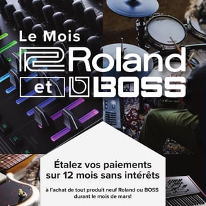 Image de la Promotion Circulaire Long & McQuade Instruments de Musique - Mois Roland et BOSS