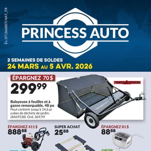 Image de la Promotion Circulaire Princess Auto