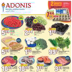 Image de la Promotion Circulaire Adonis