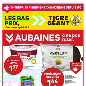 Image de la Promotion Circulaire Tigre Géant