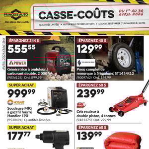 Image de la Promotion Circulaire Princess Auto - Casse-Coûts