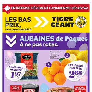 Image de la Promotion Circulaire Tigre Géant