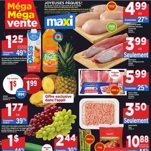 Image de la Promotion Circulaire Maxi