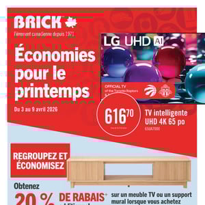 Image de la Promotion Circulaire Brick - Économies pour le printemps