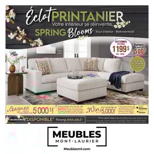 Image de la Promotion Circulaire Meubles Mont-Laurier