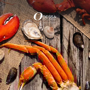 Image de la Promotion Circulaire Odessa Poissonnier