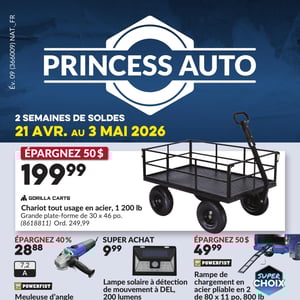 Image de la Promotion Circulaire Princess Auto