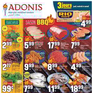 Image de la Promotion Circulaire Adonis