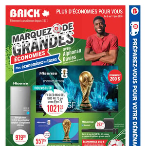 Image de la Promotion Circulaire Brick à Saint-Hubert