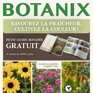 Image de la Promotion Circulaire Botanix à Baie-Comeau