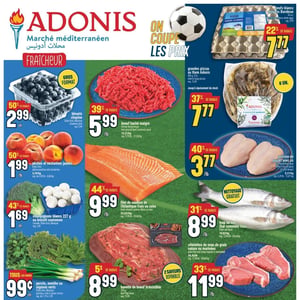 Image de la Promotion Circulaire Adonis