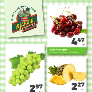 Image de la Promotion Circulaire Jardin Mobile