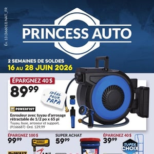 Image de la Promotion Circulaire Princess Auto