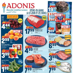 Image de la Promotion Circulaire Adonis