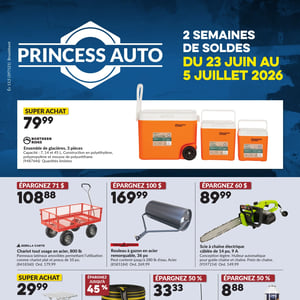 Image de la Promotion Circulaire Princess Auto