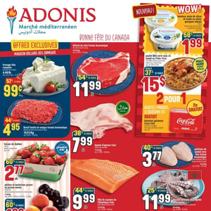 Image de la Promotion Circulaire Adonis