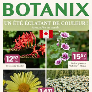 Image de la Promotion Circulaire Botanix