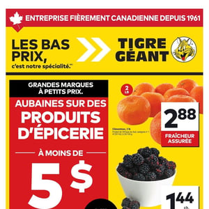 Image de la Promotion Circulaire Tigre Géant