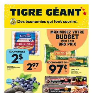 Image de la Promotion Circulaire Tigre Géant à Trois-Rivières