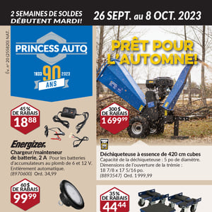 Image de la Promotion Circulaire Princess Auto à Laval