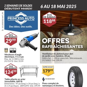 Image de la Promotion Circulaire Princess Auto
