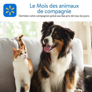 Image de la Promotion Circulaire Walmart - Le Mois des Animaux de Compagnie à Trois-Rivières