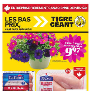Image de la Promotion Circulaire Tigre Géant à Québec