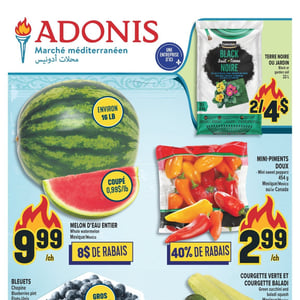 Image de la Promotion Circulaire Adonis