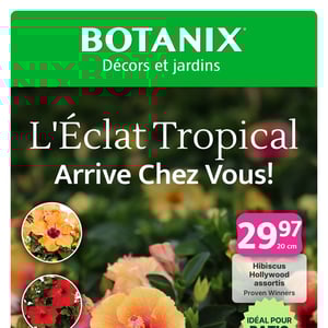 Image de la Promotion Circulaire Botanix à Québec