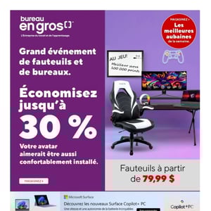 Image de la Promotion Circulaire Bureau en Gros
