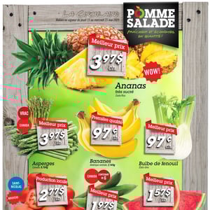 Image de la Promotion Circulaire Pomme Salade