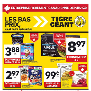 Image de la Promotion Circulaire Tigre Géant à Mont-Tremblant