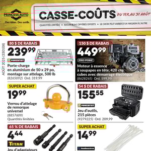 Image de la Promotion Circulaire Princess Auto - Casse-Coûts