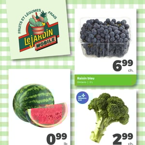 Image de la Promotion Circulaire Jardin Mobile