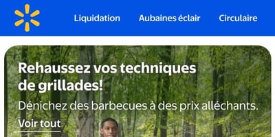 Image de la Promotion À vos barbecues!