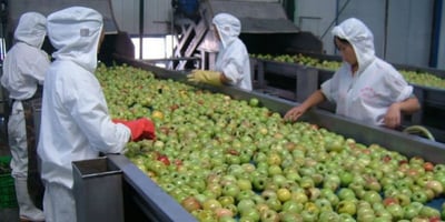 10 Aliments Fabriqués en Chine qui sont Remplis de Plastique, de Pesticides et de Produits Chimiques Cancérigènes 10 Aliments Fabriqués en Chine qui sont Remplis de Plastique, de Pesticides et de Produits Chimiques Cancérigènes