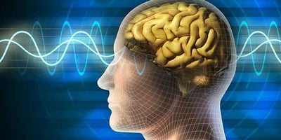 10 Astuces pour Optimiser le Fonctionnement de votre Cerveau