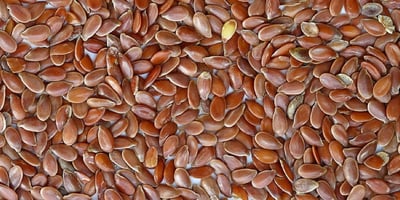 10 Conseils pour Lutter contre la Constipation