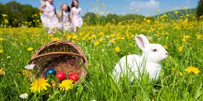 10 Endroits au Québec pour la Chasse aux Oeufs de Pâques 10 Endroits au Québec pour la Chasse aux Oeufs de Pâques