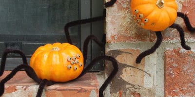 10 Idées Déco pour L'Halloween