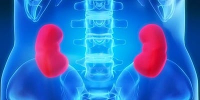 10 Mauvaises Habitudes qui Détruisent vos Reins