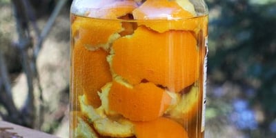 10 Preuves que le Vinaigre est L'un des Produits les Plus Polyvalents