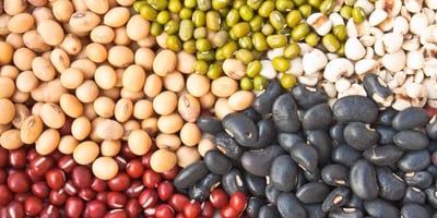 10 Trucs pour Apprêter les Haricots et les Lentilles 10 Trucs pour Apprêter les Haricots et les Lentilles